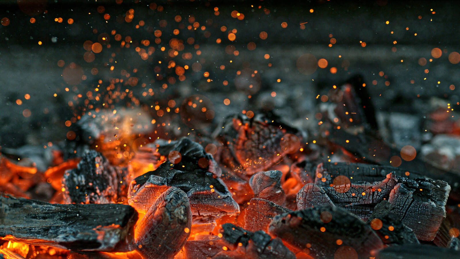 Briket arang kelapa yang terbakar - Shutterstock/Lukas Gojda